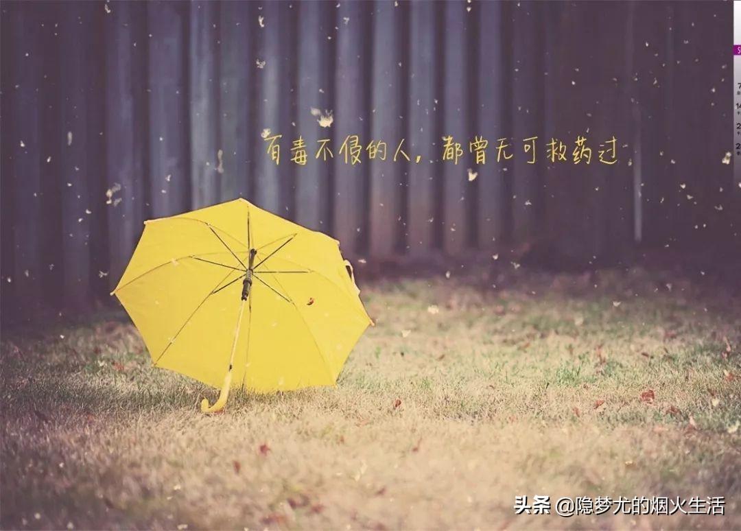 万艳书最新，一本书与温馨友情故事的交织