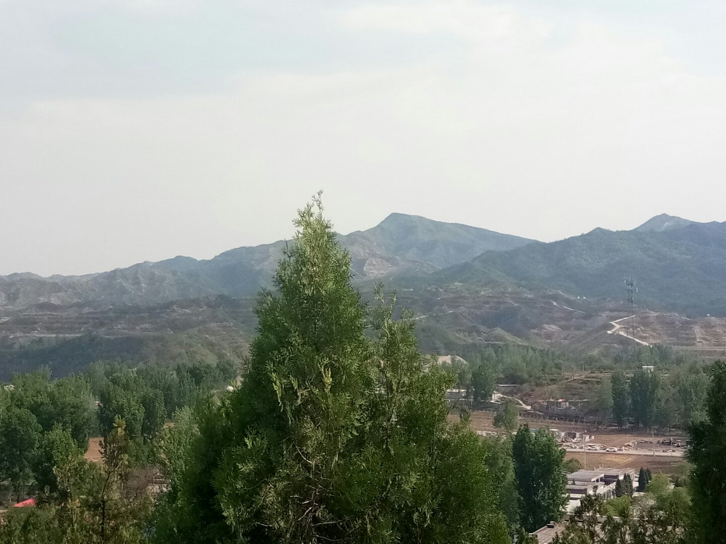 石家庄灵寿县最新贴吧探索自然美景，寻找内心平和之旅