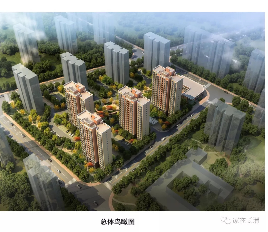 济南长清归德的新动态，自信与成就之光的变化揭秘