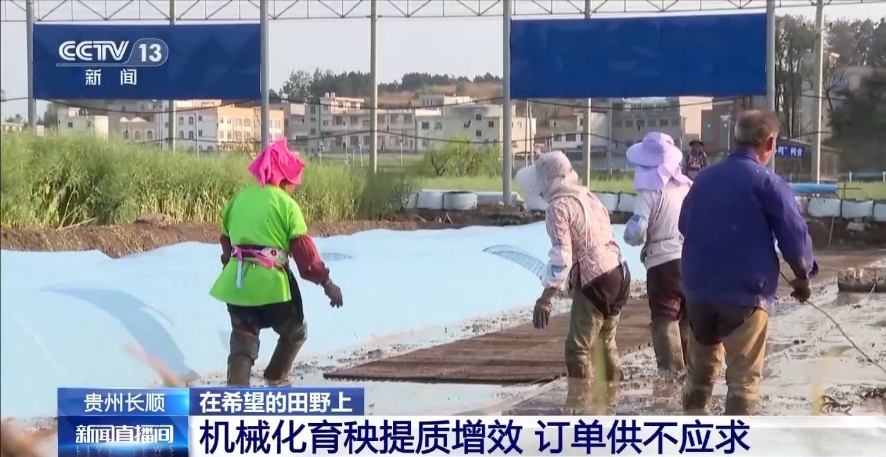 长顺县广顺最新新闻及其观点分析影响概述