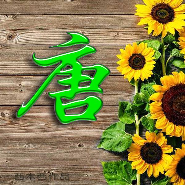 全国百家姓排名，探寻中国姓氏文化的变迁与传承之路