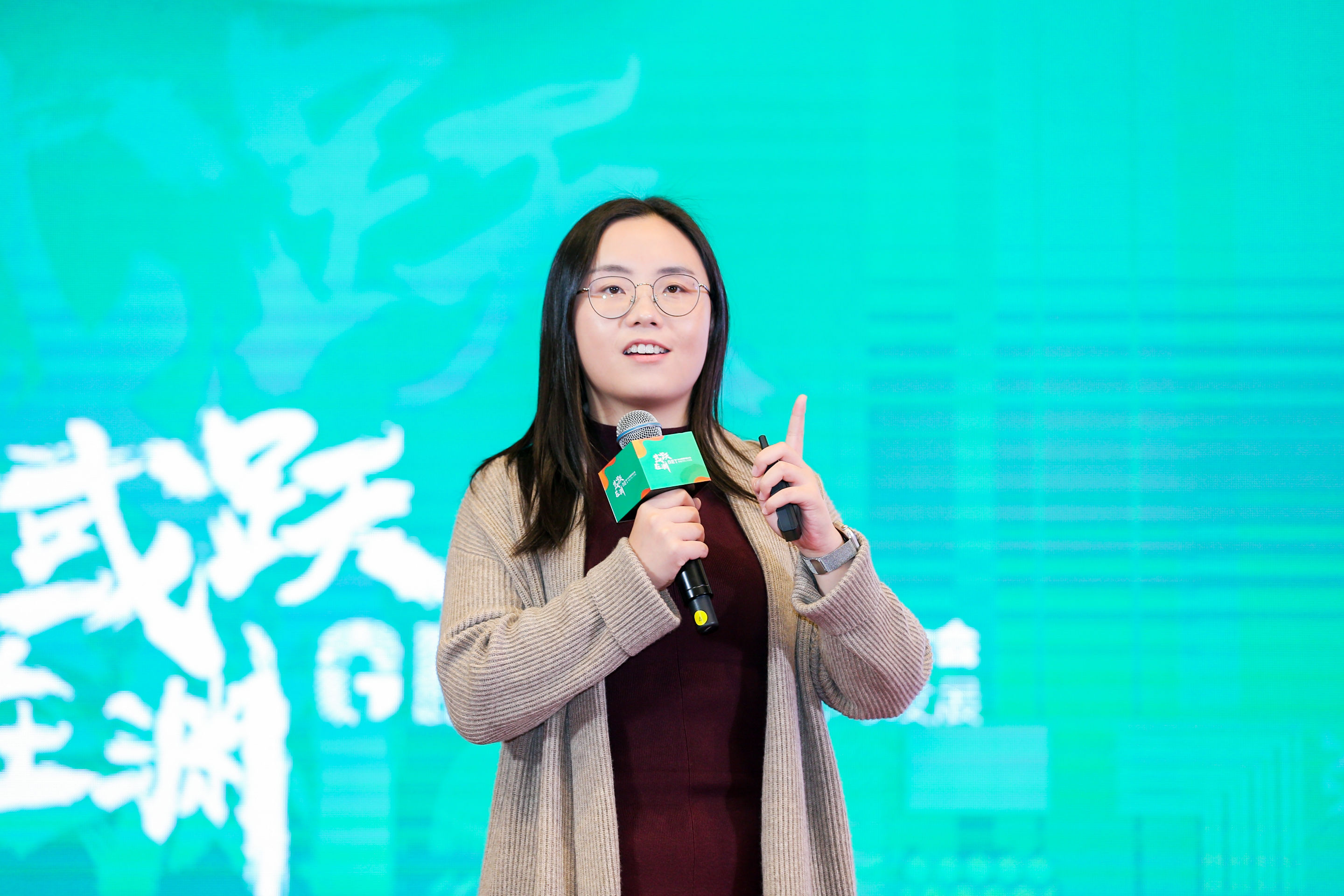 昭通城投刘俐最新情况及其分析概述