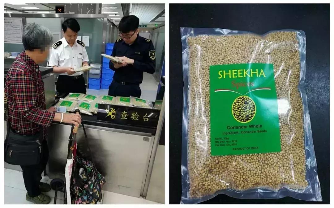 澳门入境最新措施，必读指南✨